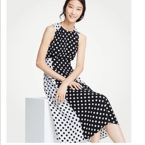 Ann Taylor Black and White Polka Dot Midi Dress